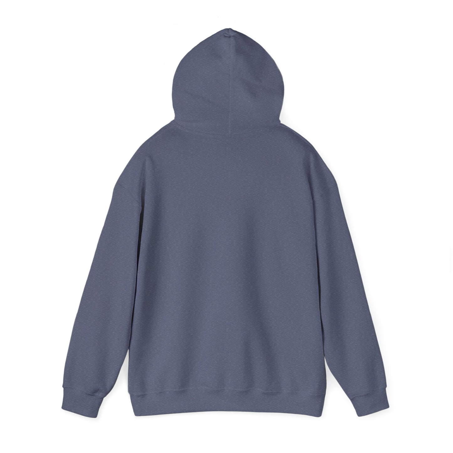 Sorry I Can’t Hoodie