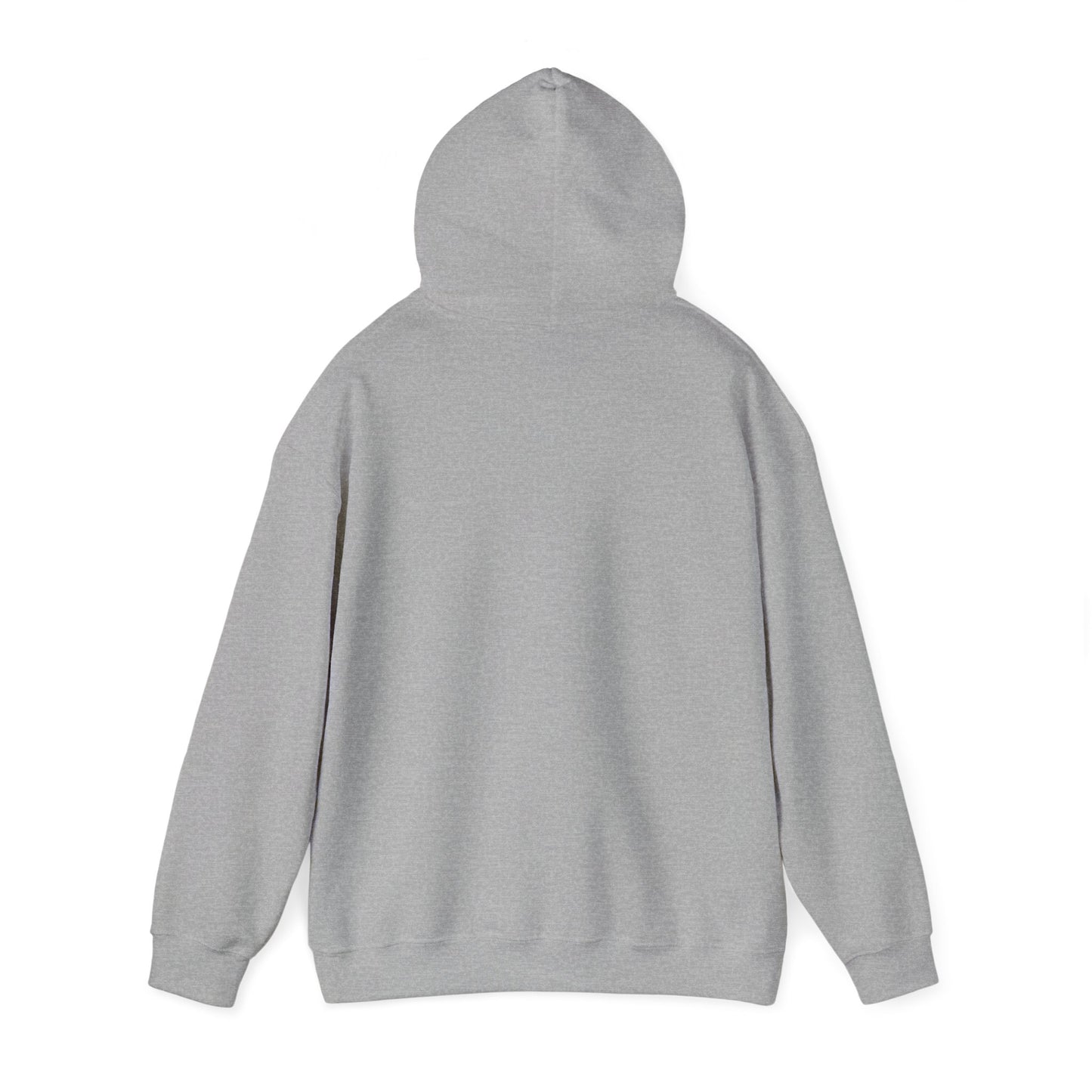 Sorry I Can’t Hoodie