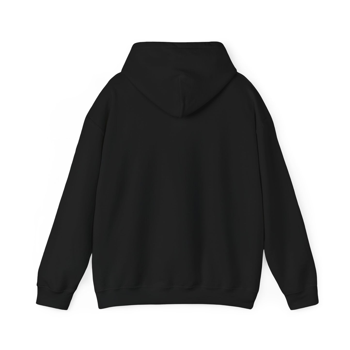 Sorry I Can’t Hoodie