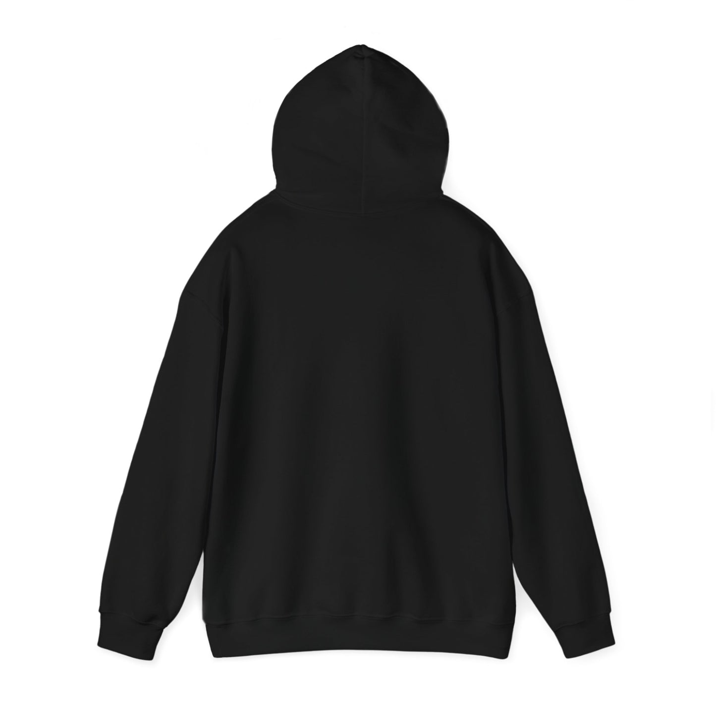 Sorry I Can’t Hoodie